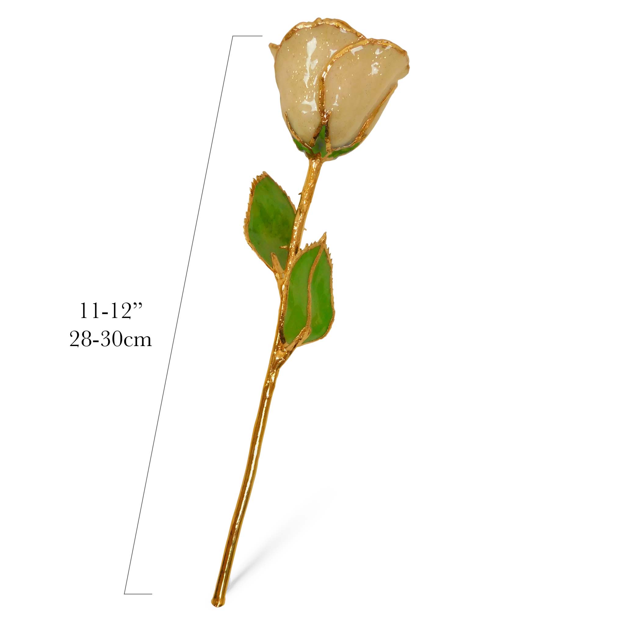 24K Gold Forever Rose - Champagne (Wine Not Included)