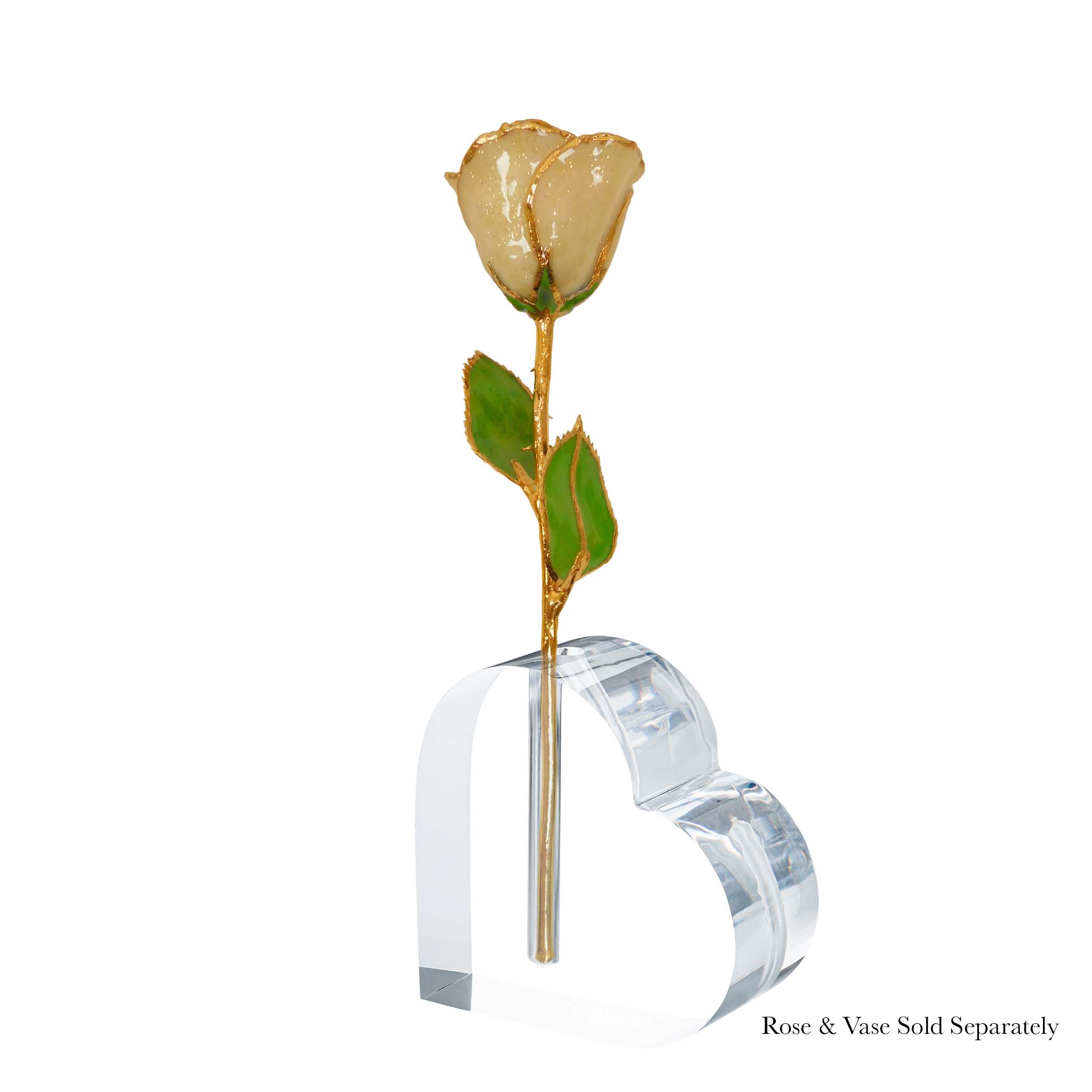 24K Gold Forever Rose - Champagne (Wine Not Included)