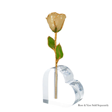 24K Gold Forever Rose - Champagne (Wine Not Included)