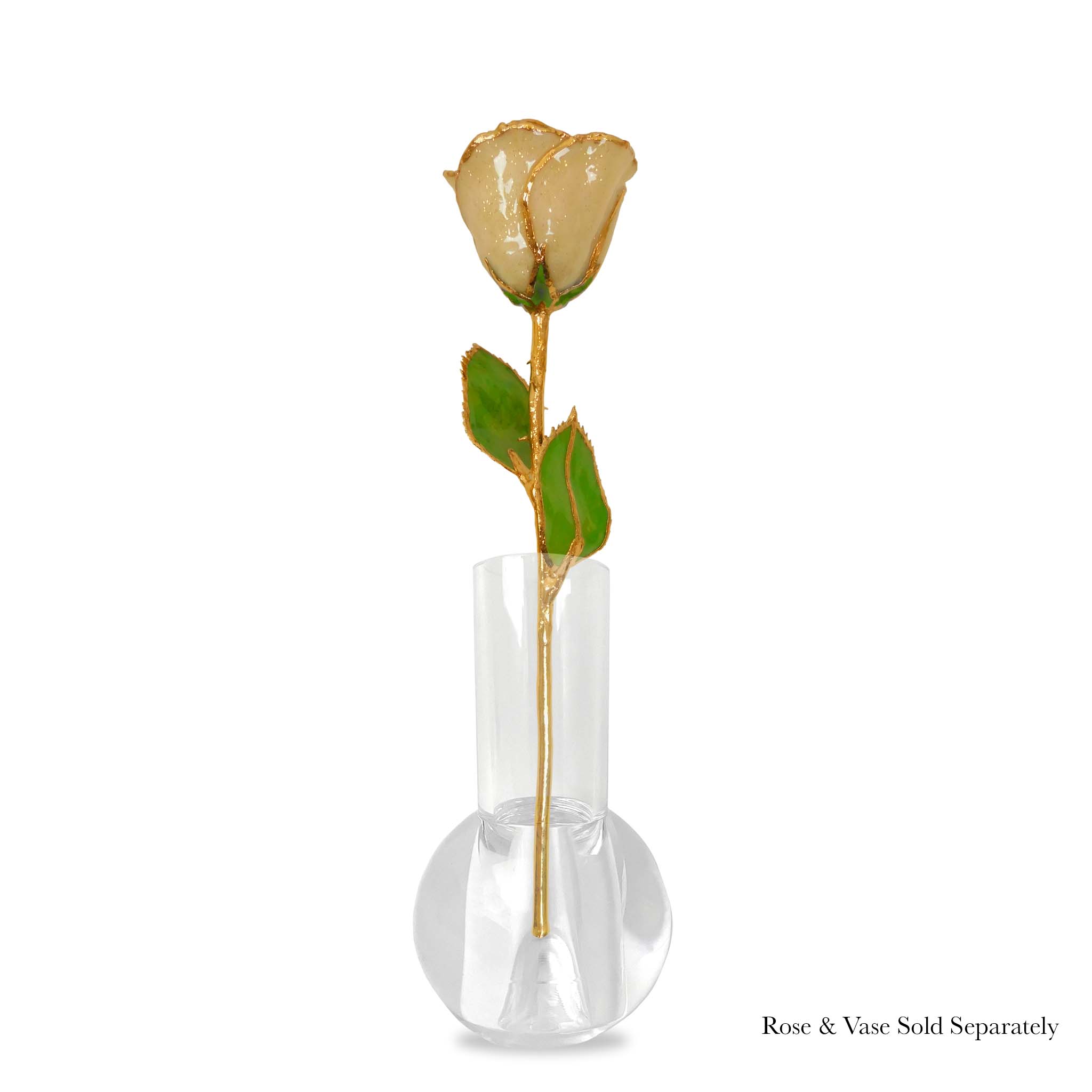 24K Gold Forever Rose - Champagne (Wine Not Included)