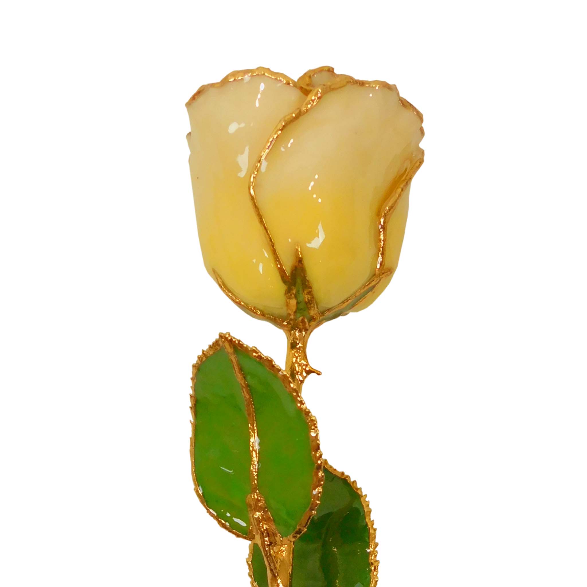 24K Gold Forever Rose - Chardonnay (Wine Not Included)