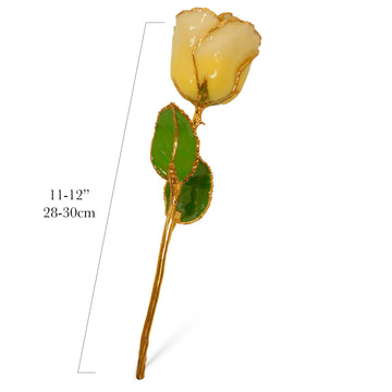 24K Gold Forever Rose - Chardonnay (Wine Not Included)