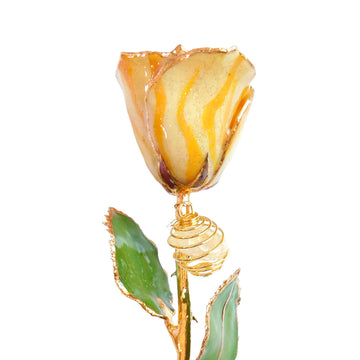 24K Gold Forever Rose - Citrine