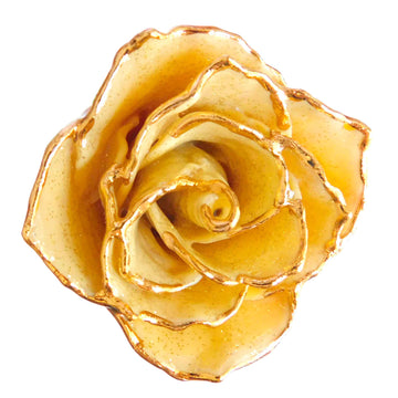 24K Gold Forever Rose - Citrine