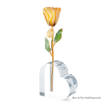 24K Gold Forever Rose - Citrine