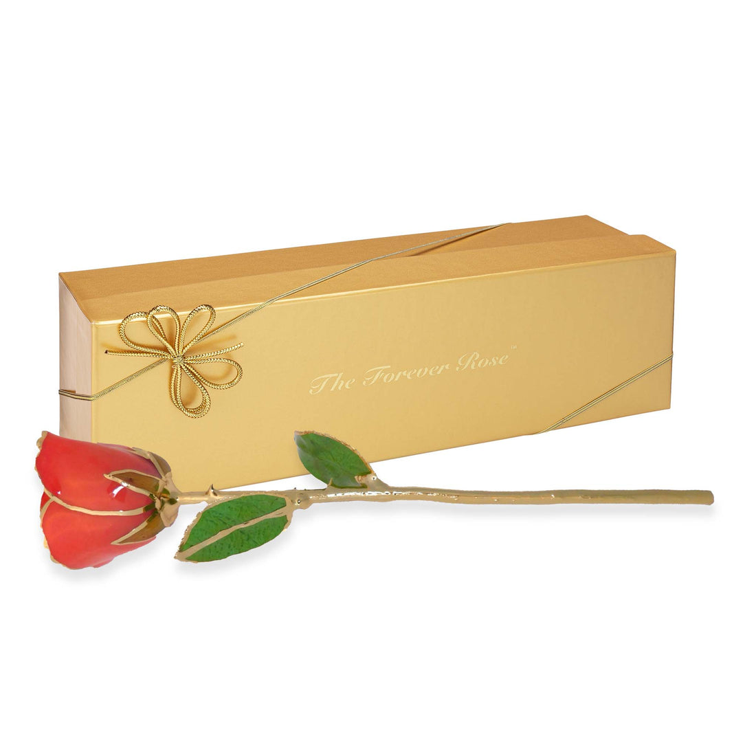 24K Gold Forever Rose - Coral Kiss