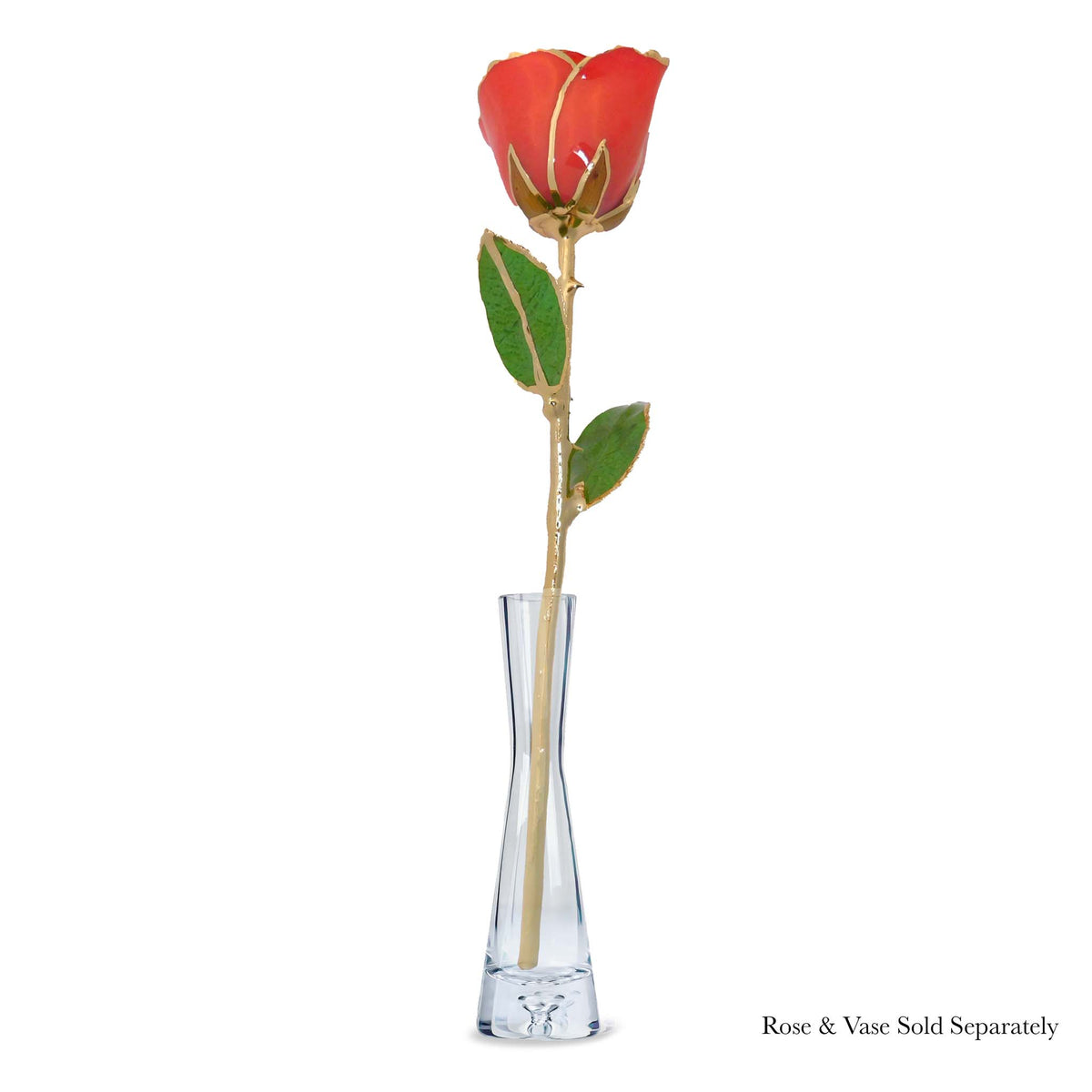 24K Gold Forever Rose - Coral Kiss