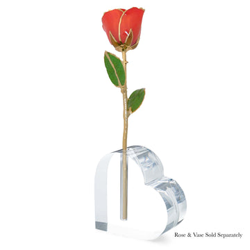 24K Gold Forever Rose - Coral Kiss