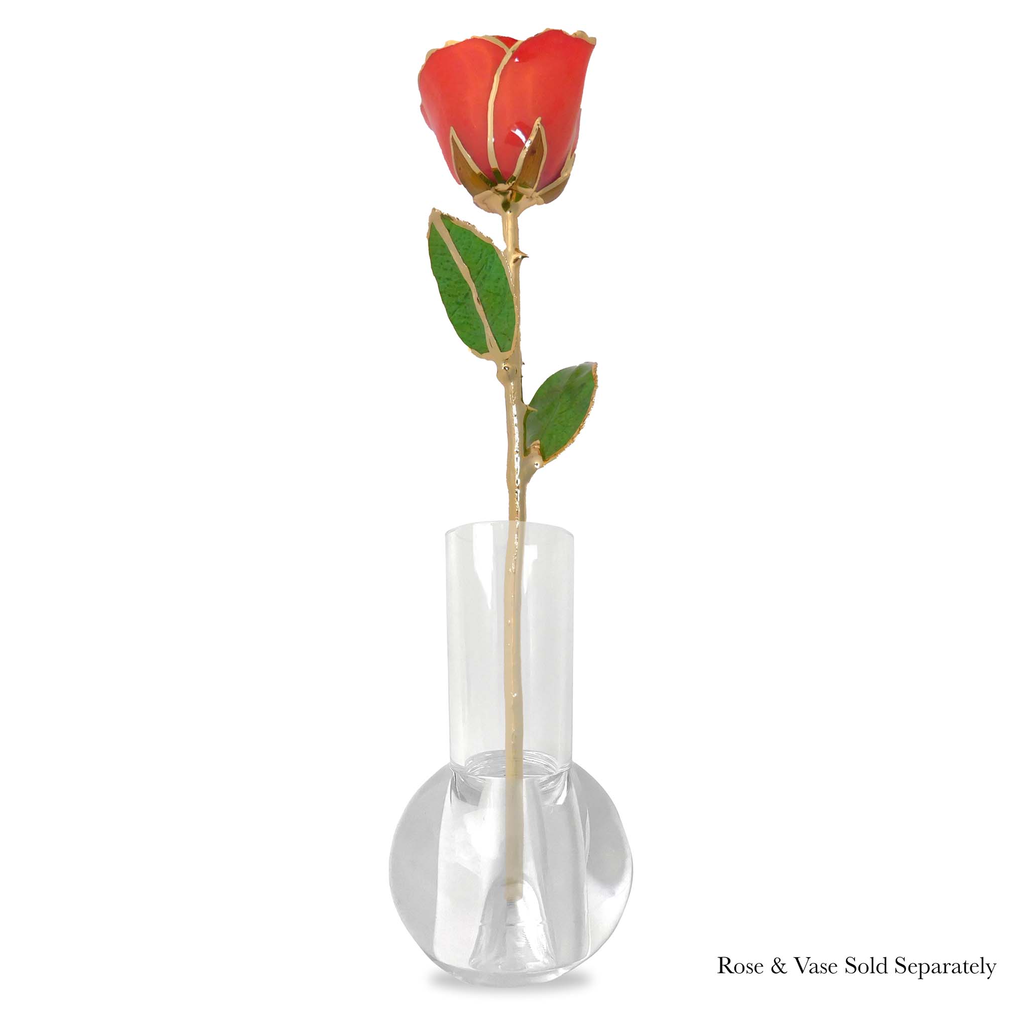 24K Gold Forever Rose - Coral Kiss