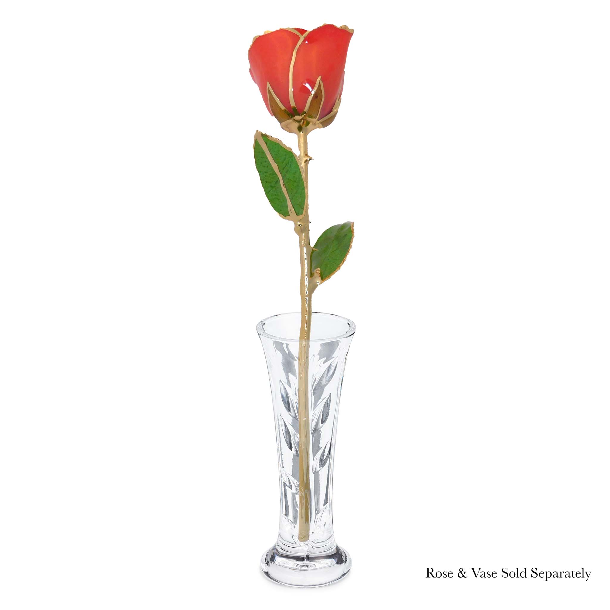 24K Gold Forever Rose - Coral Kiss