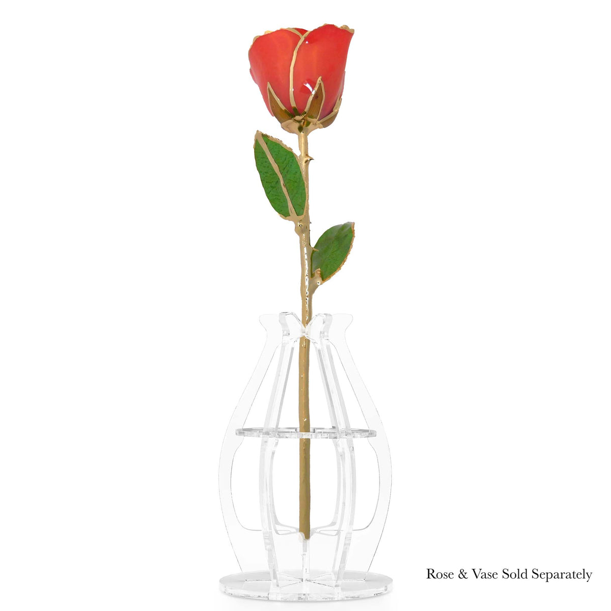 24K Gold Forever Rose - Coral Kiss