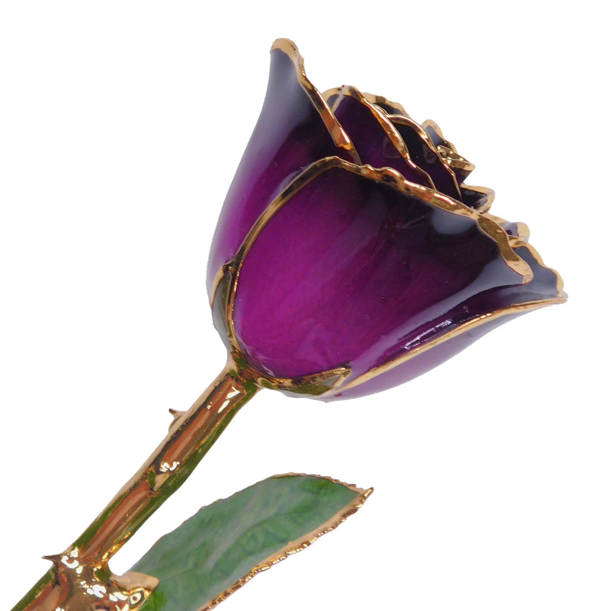 24K Gold Forever Rose - Deep Love