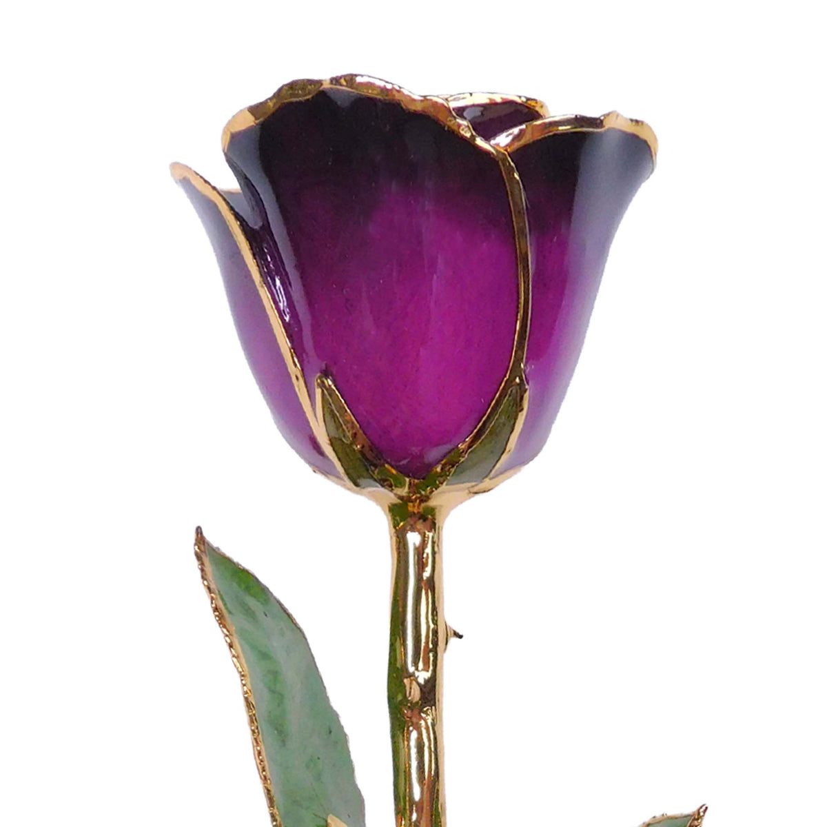 24K Gold Forever Rose - Deep Love