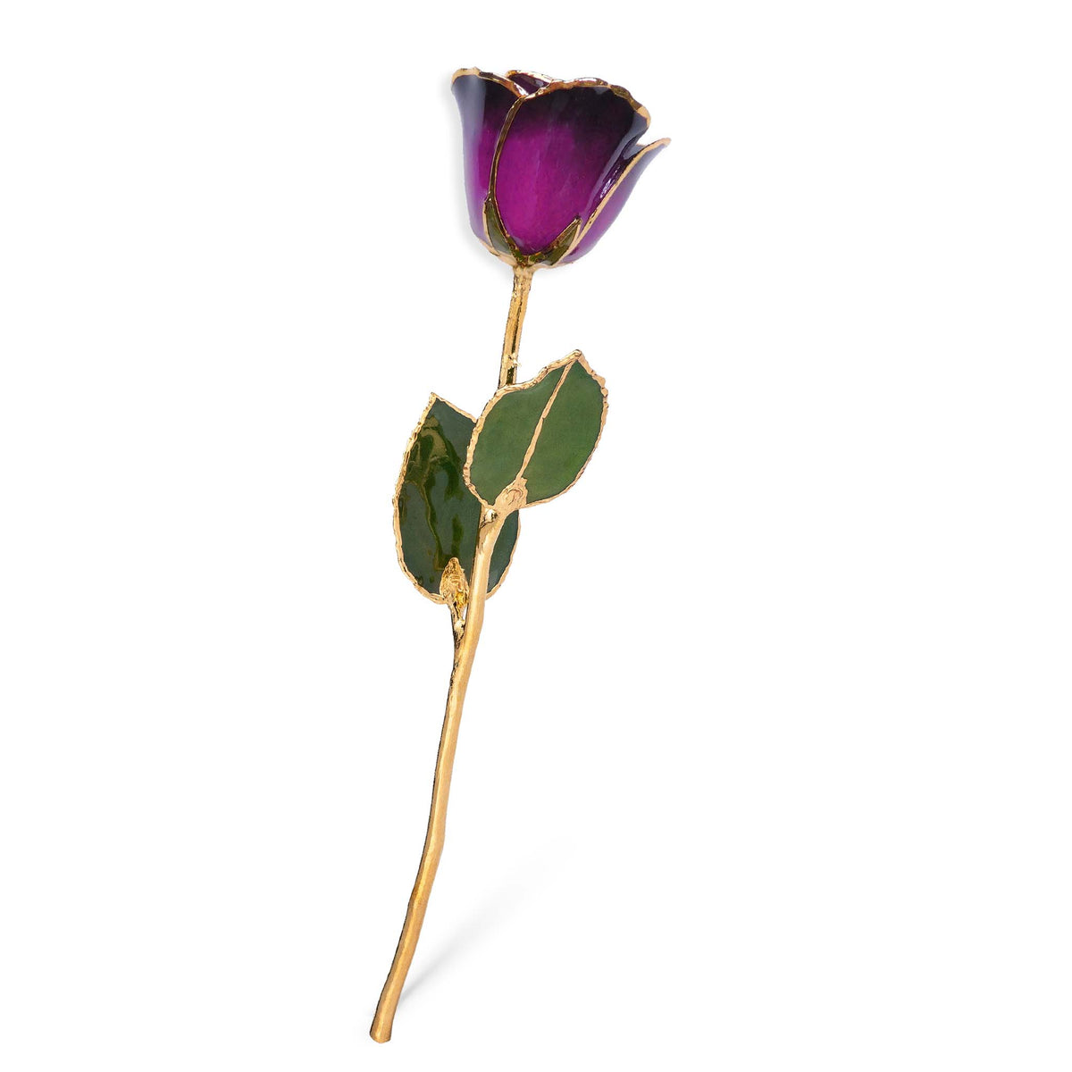 24K Gold Forever Rose - Deep Love
