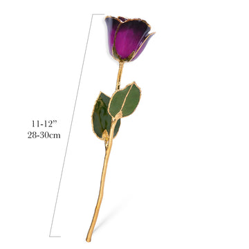 24K Gold Forever Rose - Deep Love