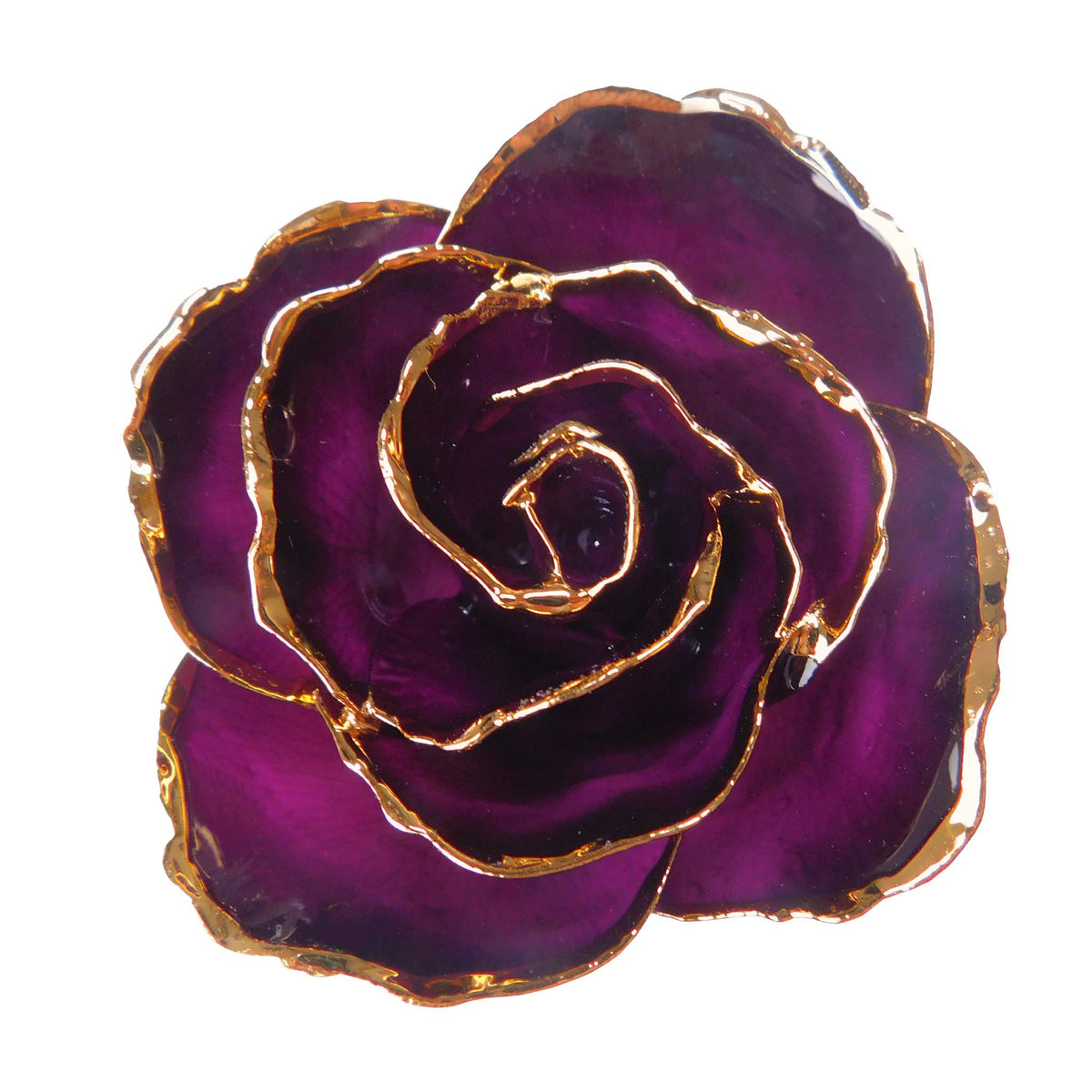 24K Gold Forever Rose - Deep Love