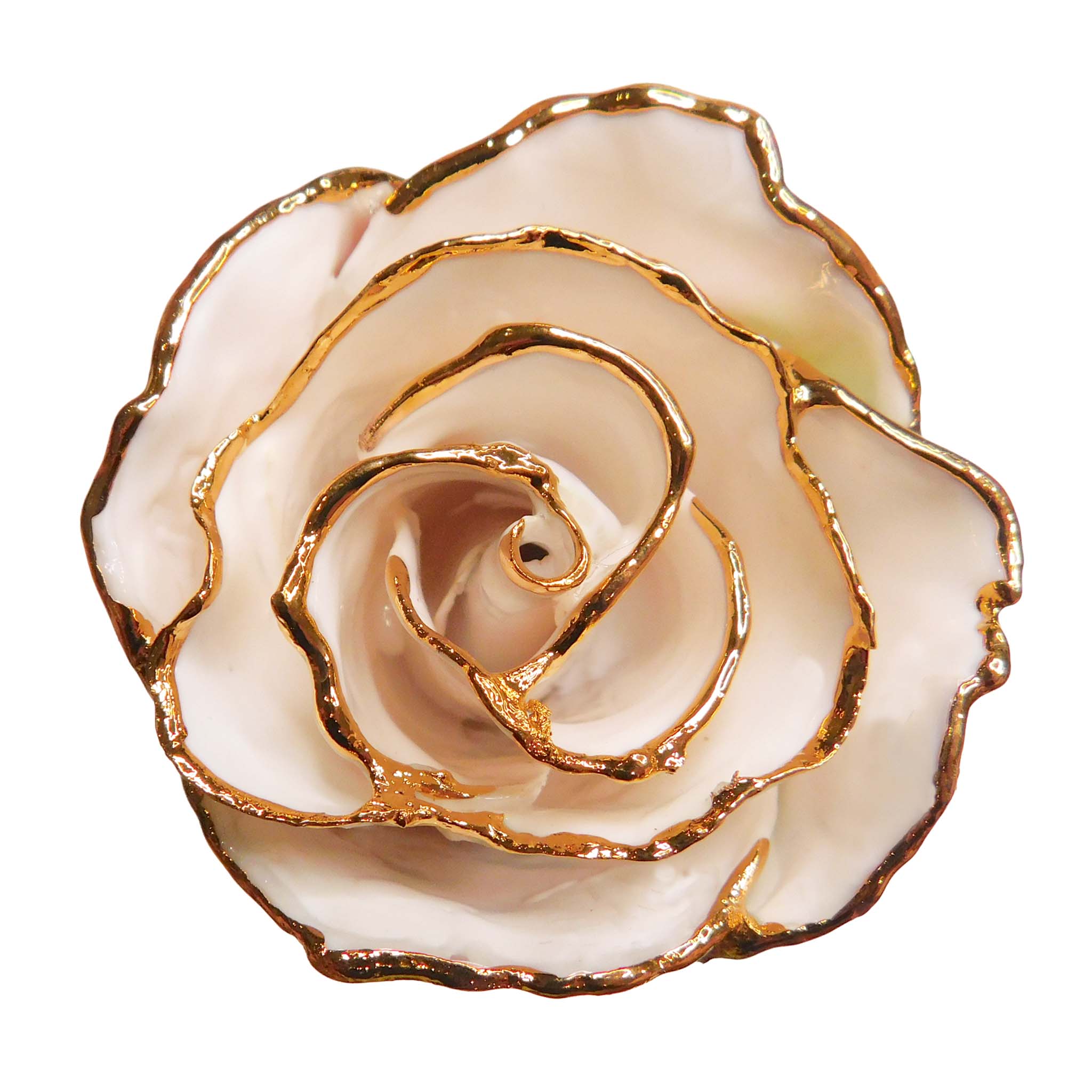 24K Gold Forever Rose - Electric Love