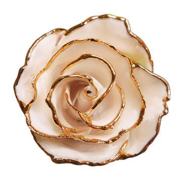 24K Gold Forever Rose - Electric Love