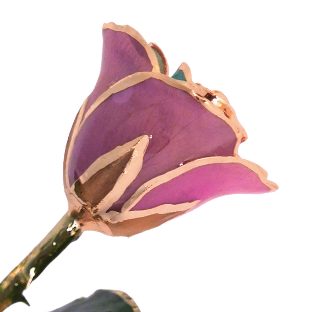 24K Gold Forever Rose - Fairy