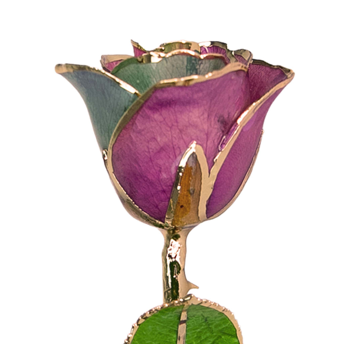 24K Gold Forever Rose - Fairy