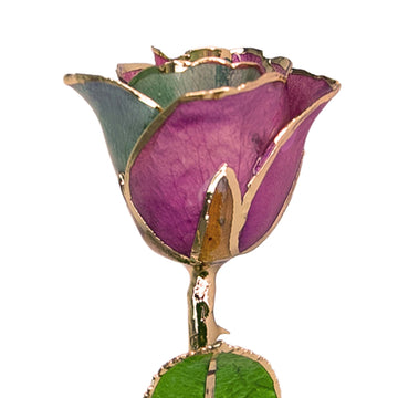 24K Gold Forever Rose - Fairy