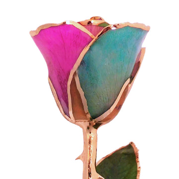 24K Gold Forever Rose - Fairy