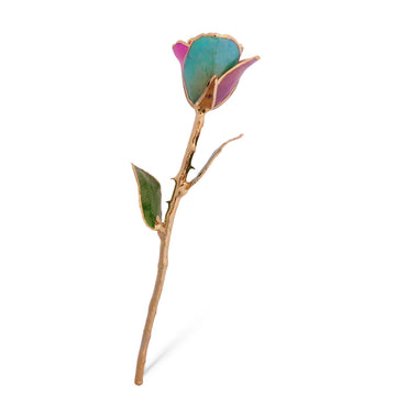 24K Gold Forever Rose - Fairy