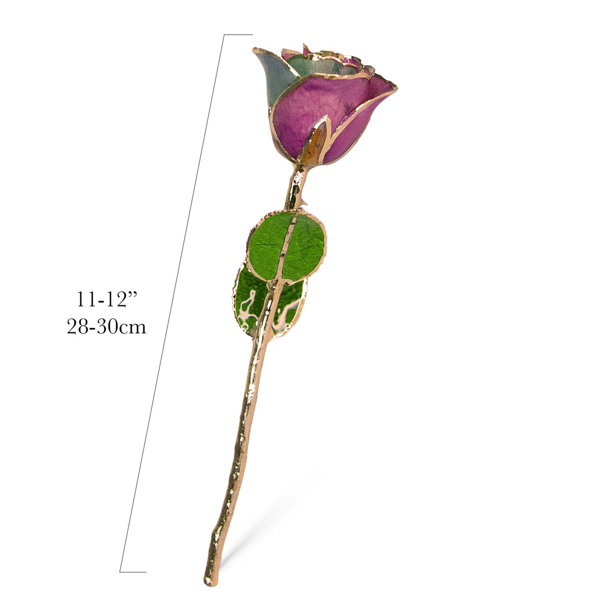 24K Gold Forever Rose - Fairy