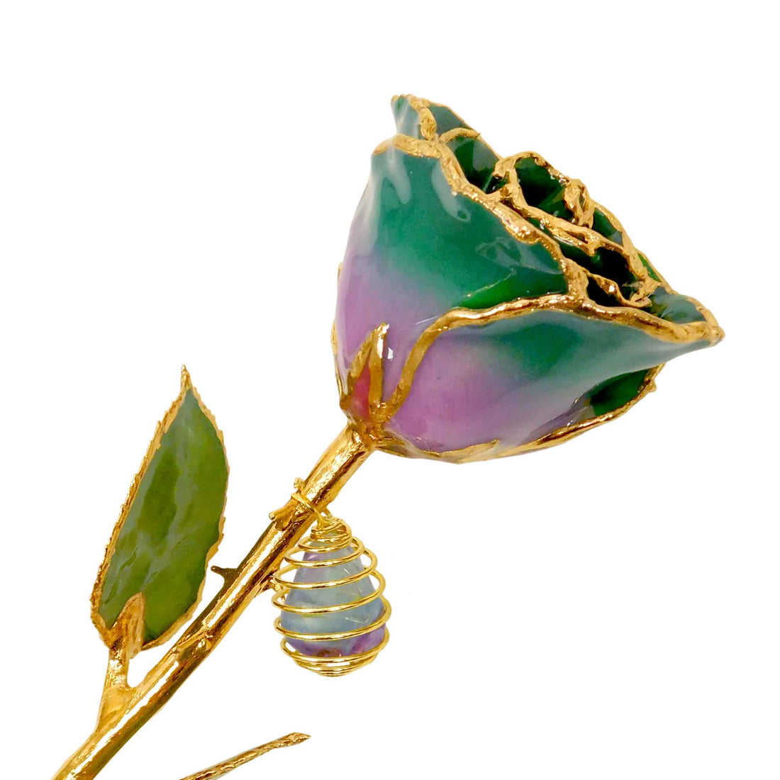 24K Gold Forever Rose - Fluorite Rainbow
