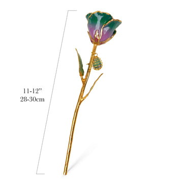 24K Gold Forever Rose - Fluorite Rainbow