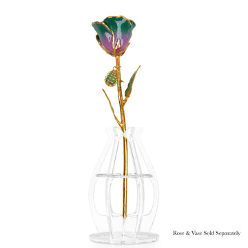 24K Gold Forever Rose - Fluorite Rainbow