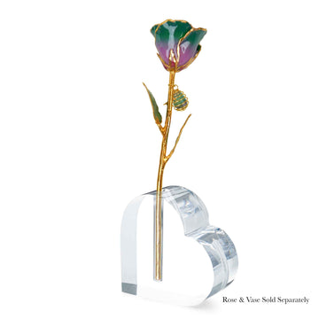 24K Gold Forever Rose - Fluorite Rainbow