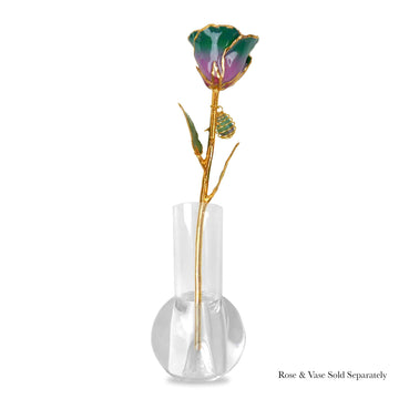 24K Gold Forever Rose - Fluorite Rainbow
