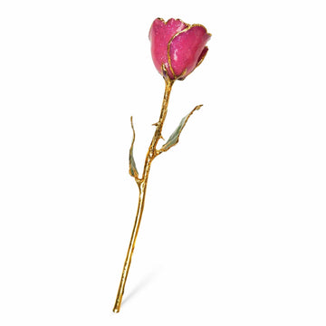 24K Gold Forever Rose - Stardust Pink