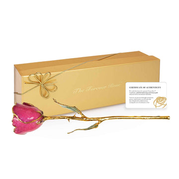 24K Gold Forever Rose - Stardust Pink