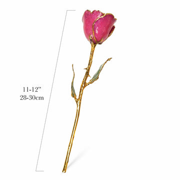 24K Gold Forever Rose - Stardust Pink