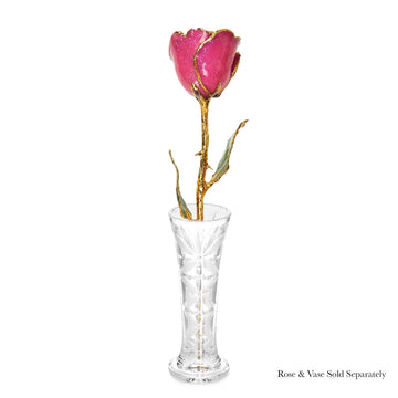 24K Gold Forever Rose - Stardust Pink