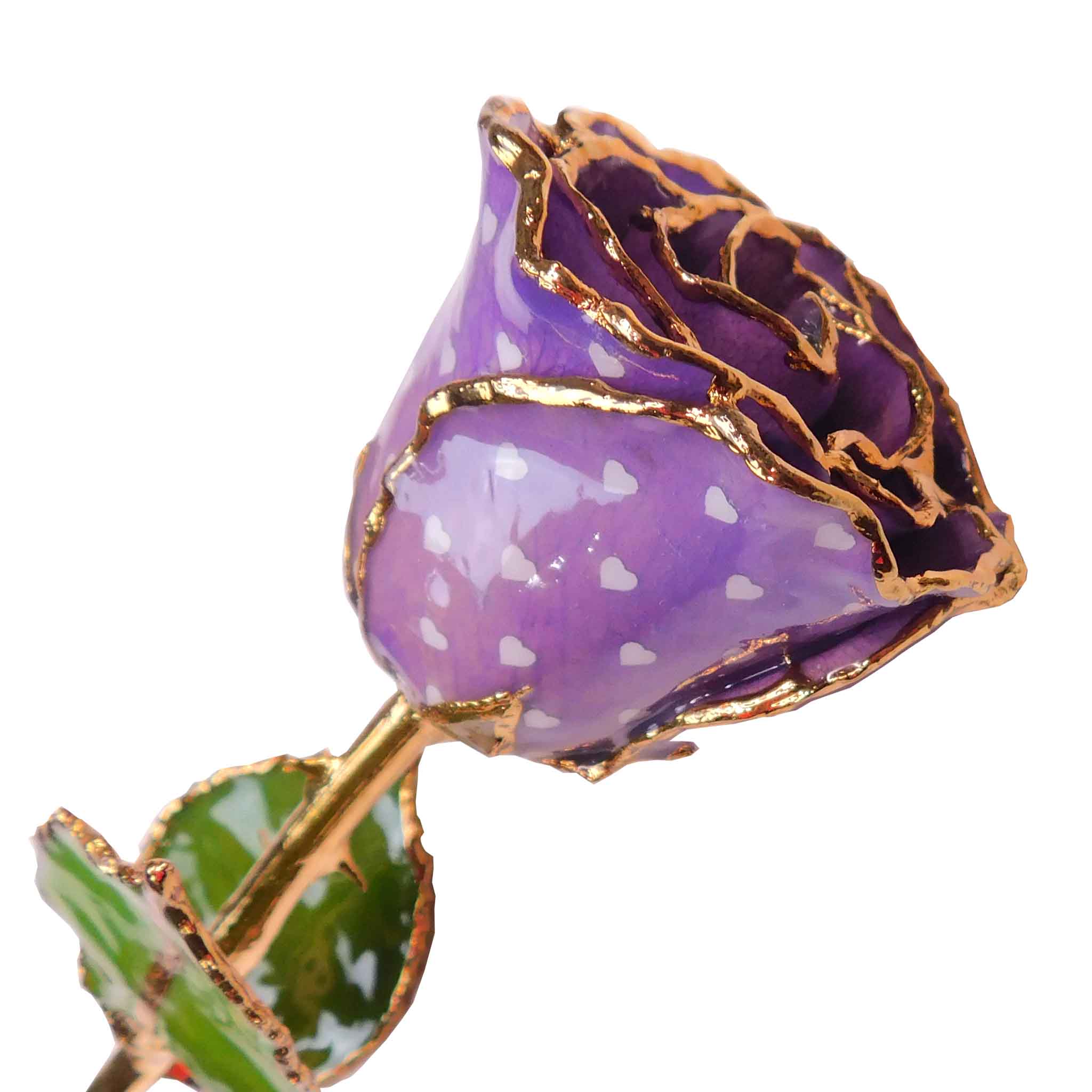 24K Gold Forever Rose - Heart Rose - Purple (White Hearts)