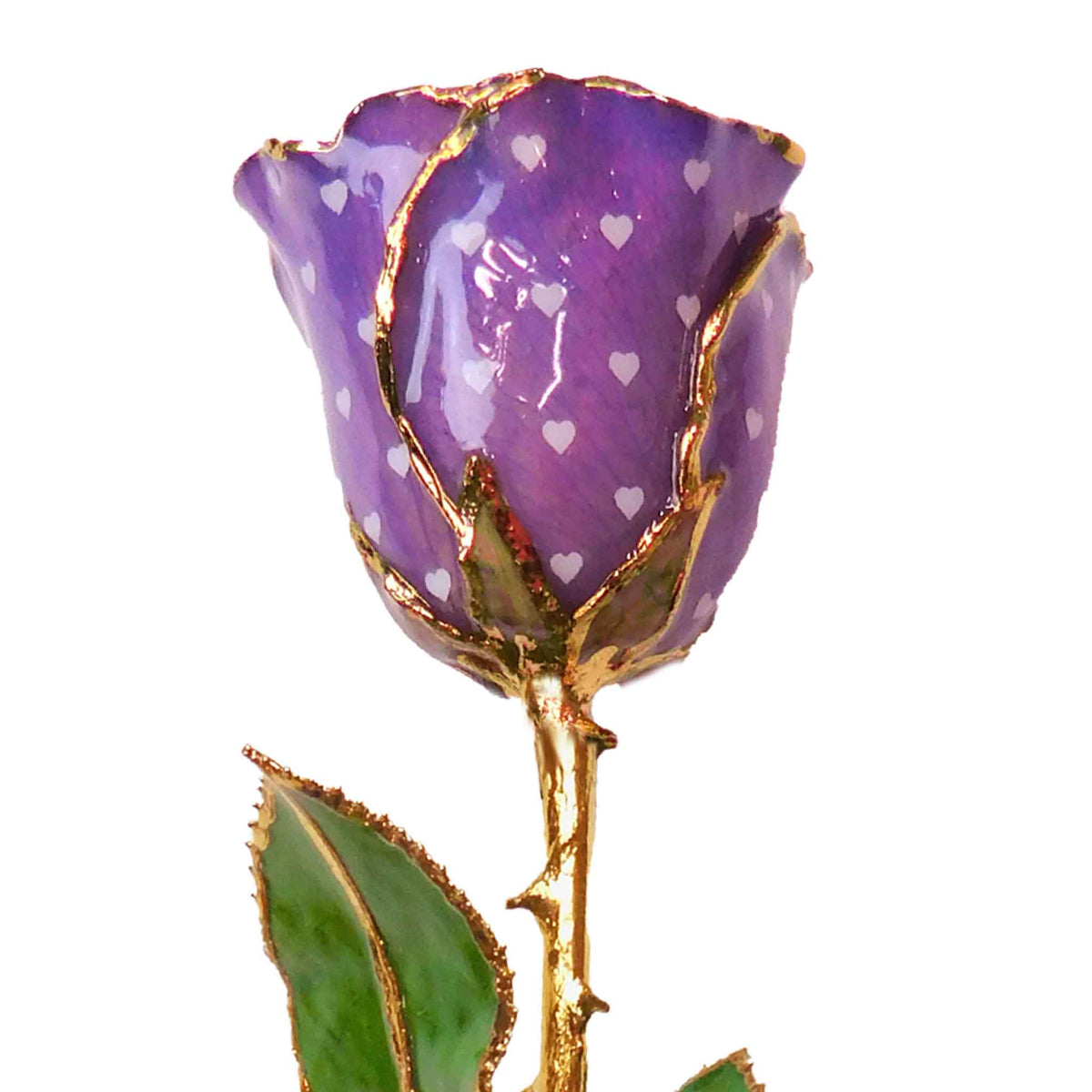 24K Gold Forever Rose - Heart Rose - Purple (White Hearts)