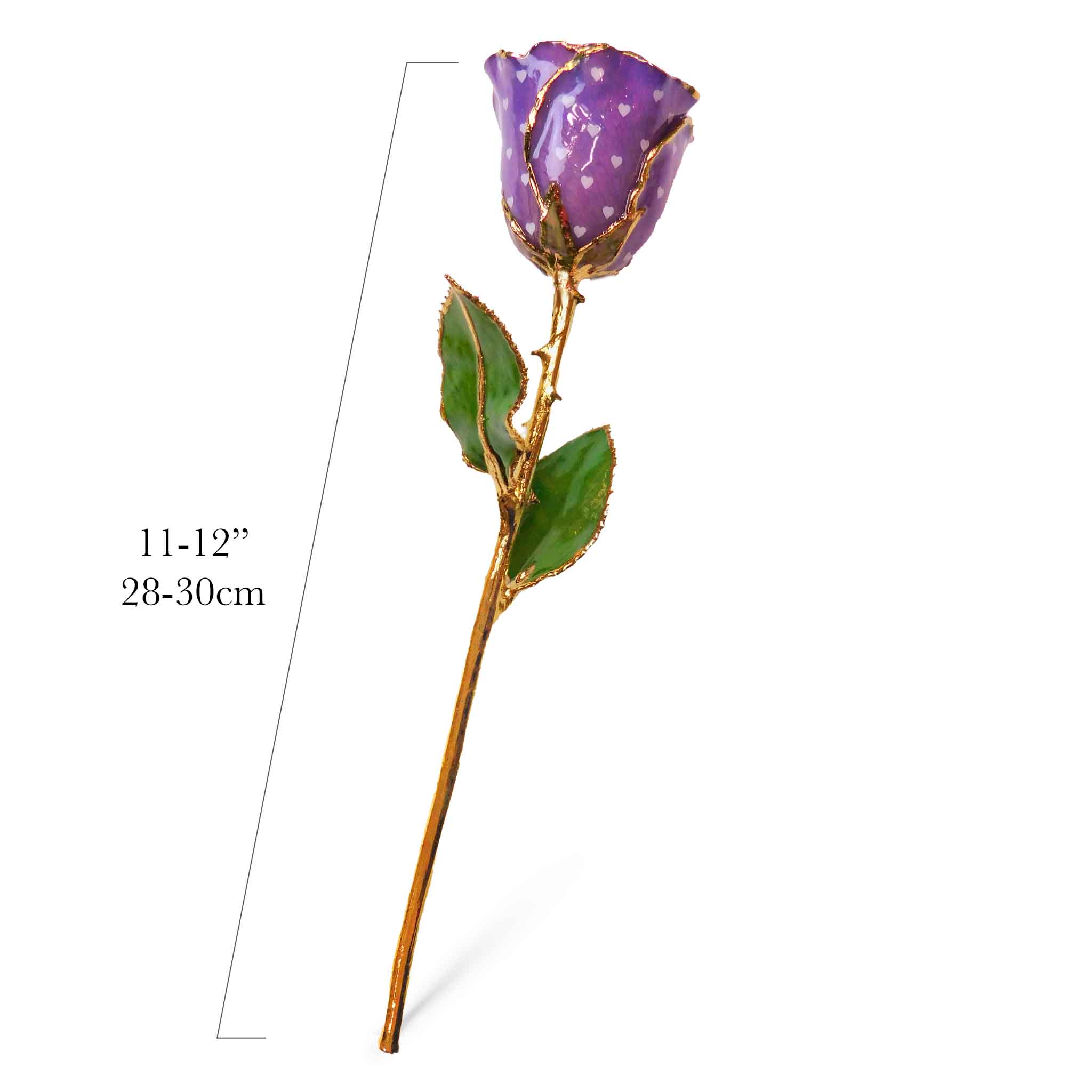 24K Gold Forever Rose - Heart Rose - Purple (White Hearts)