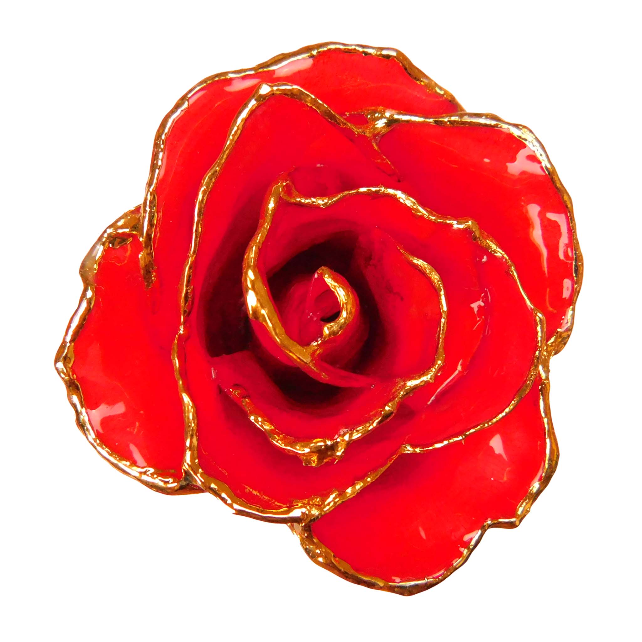 24K Gold Forever Rose - Heart Rose - Red (White Hearts)