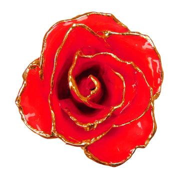 24K Gold Forever Rose - Heart Rose - Red (White Hearts)
