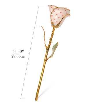 24K Gold Forever Rose - Heart Rose - White (Red Hearts)