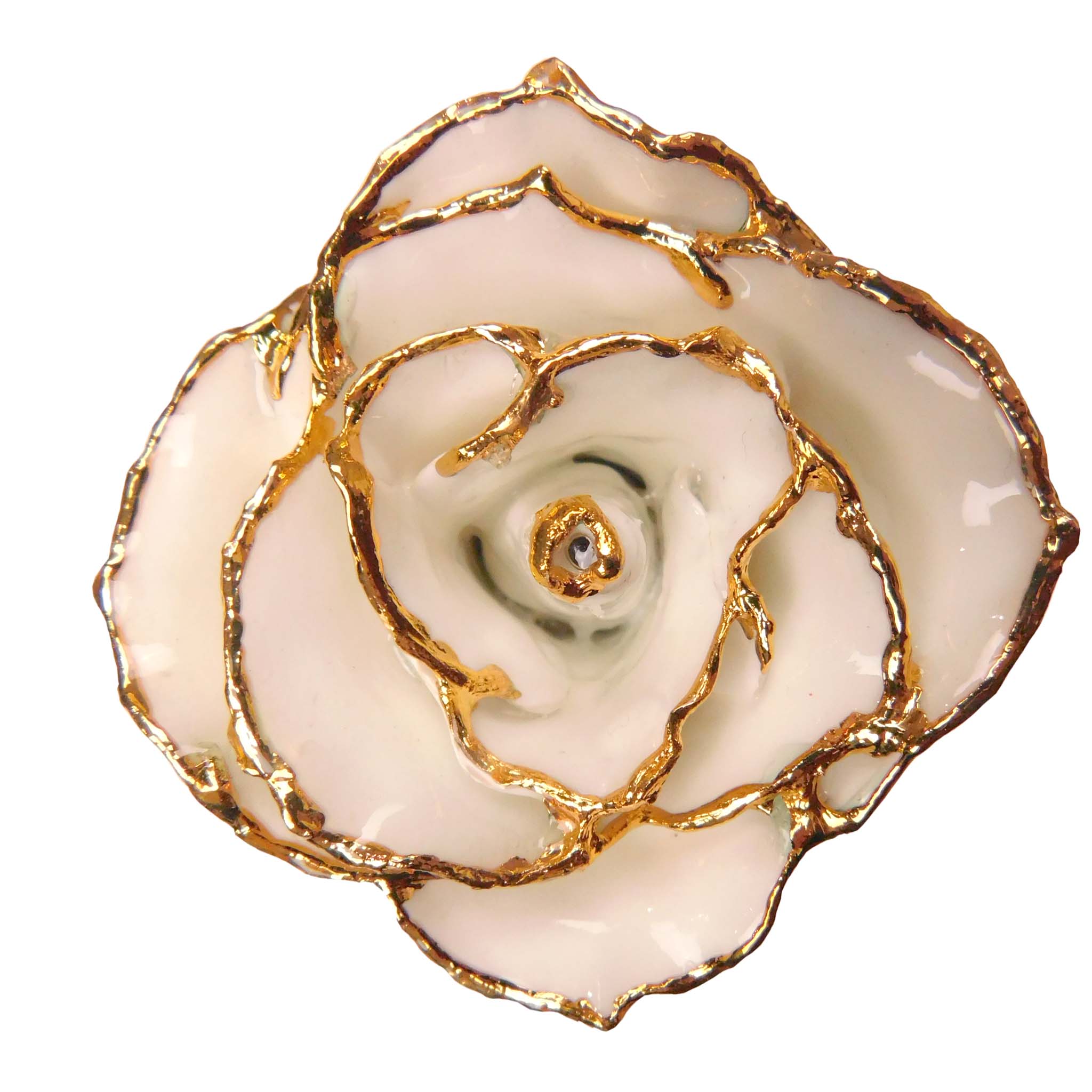 24K Gold Forever Rose - Heart Rose - White (Red Hearts)