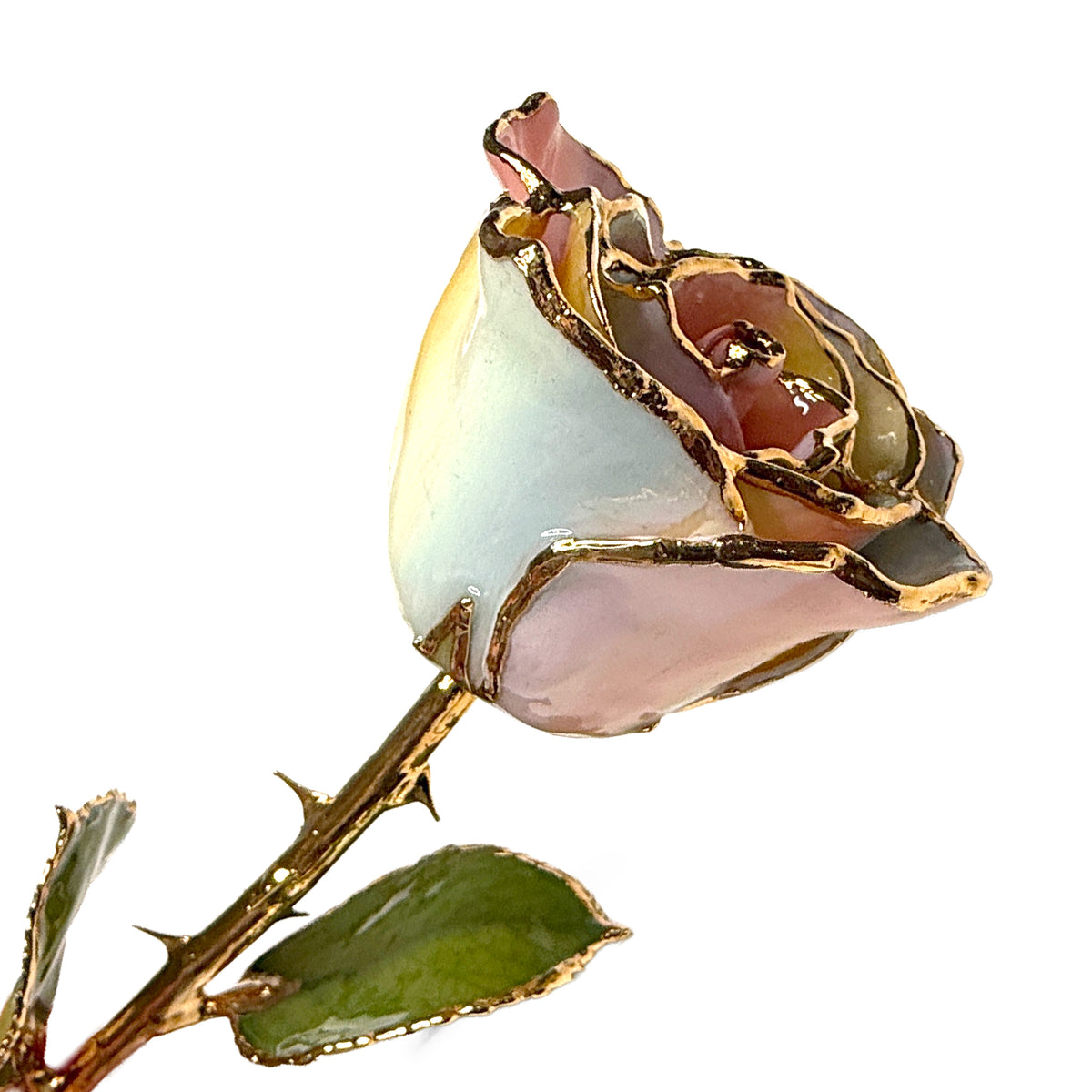 24K Gold Forever Rose - Hope