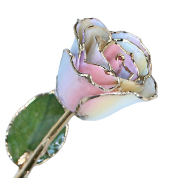 24K Gold Forever Rose - Hope