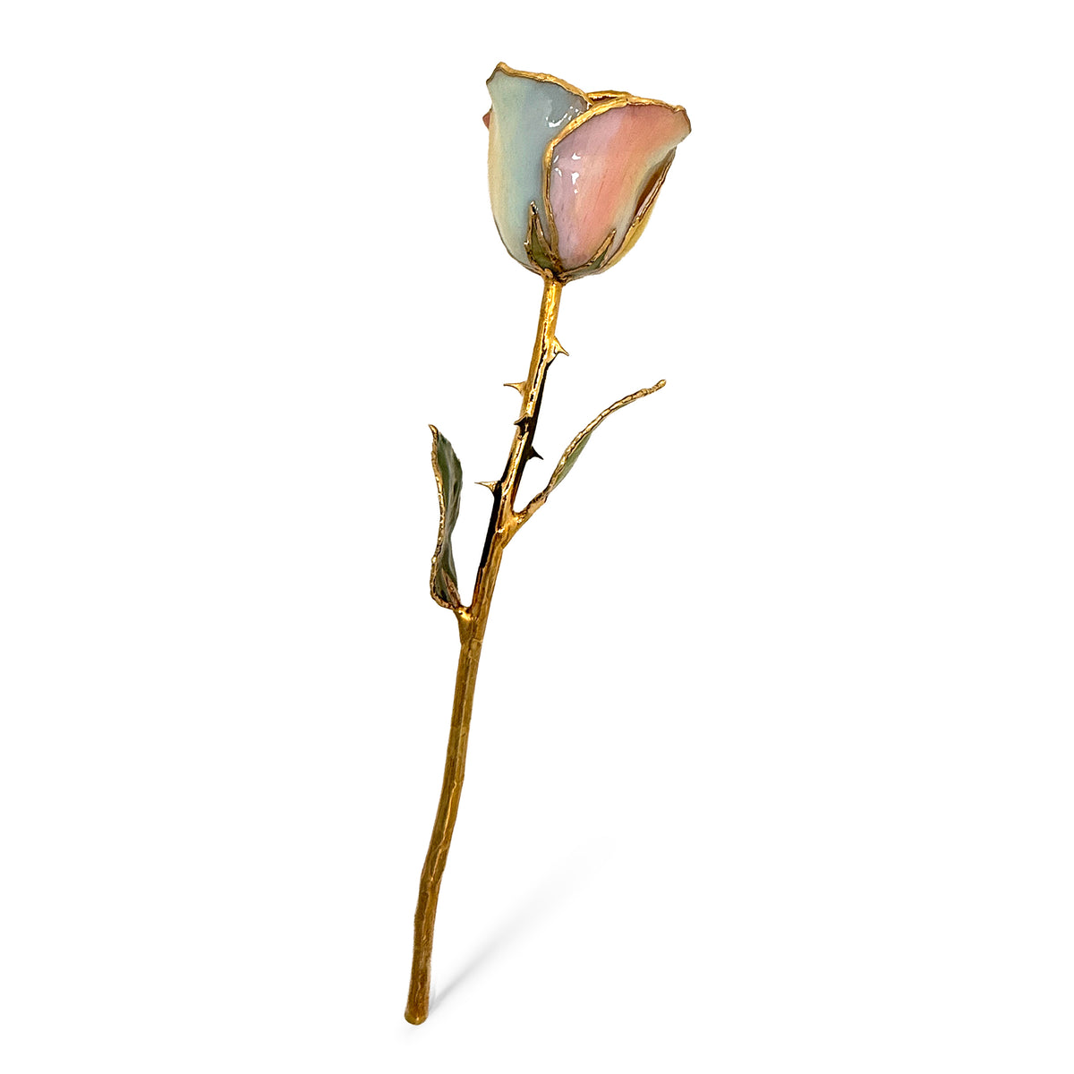24K Gold Forever Rose - Hope