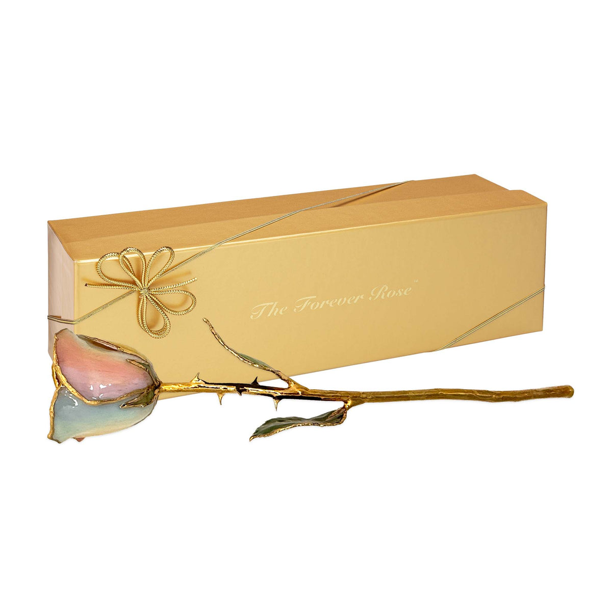 24K Gold Forever Rose - Hope