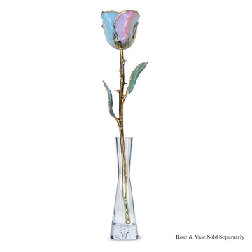 24K Gold Forever Rose - Hope