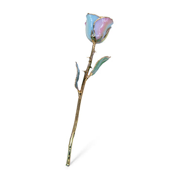 24K Gold Forever Rose - Hope